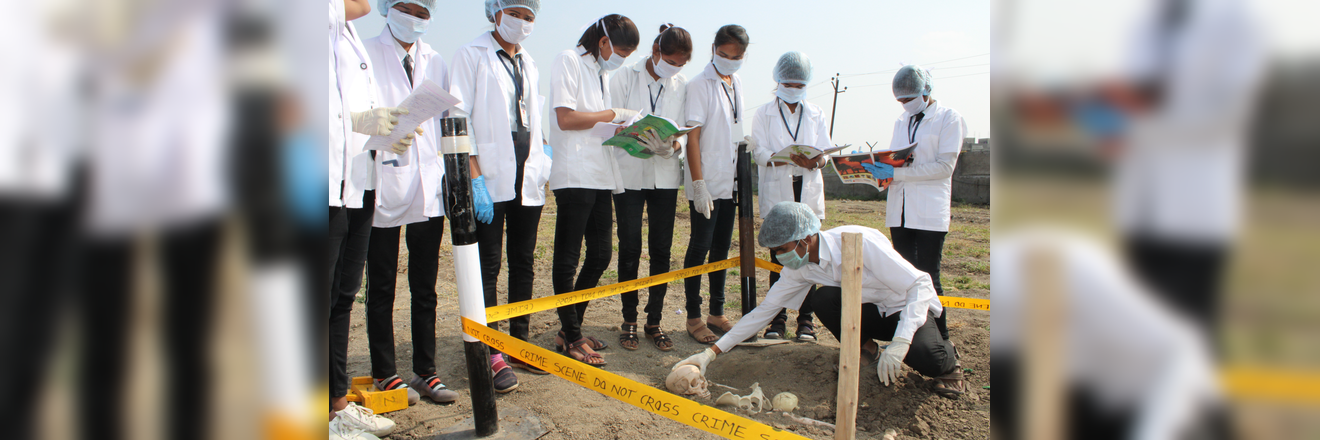 Practical laboratory 3